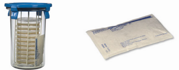 �����l(f��)��ϵ�y(t��ng)